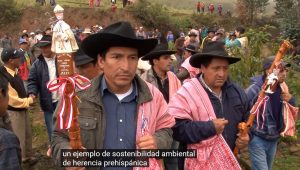 JUECES DE AGUA_VIDEO